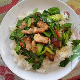 ข้าวราดคะน้า
