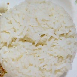 ข้าวเปล่า