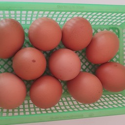 ร้านไข่สด38 ตลาดพัฒนาการ38