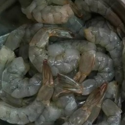 กุ้งสด 3ตัว