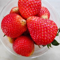 Fruit Cup ผลไม้สด สาขา มช.