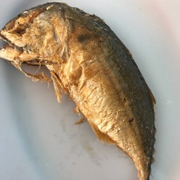 ปลาทูทอด