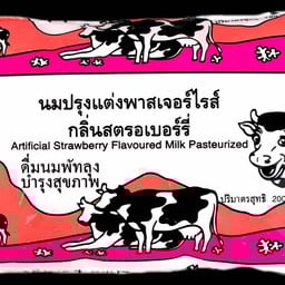 นมพัทลุง