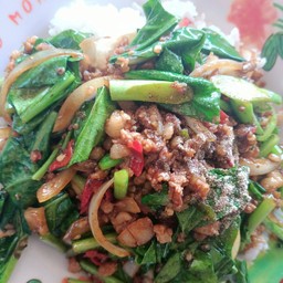 ผัดคะน้าหมู