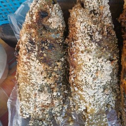 ปิ้งปลาหมอ