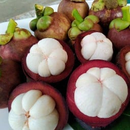 ครัวบ้านเล้า