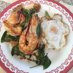 กะเพรากุ้งหรือ ทอดกระเทียม  ราดข้าวฟรีไข่ดาว