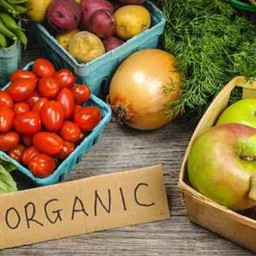 Organic น้ำผักผลไม้ ออแกนิก