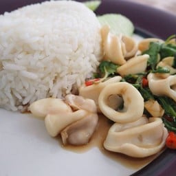 ผัดกระเพราหมึก ราดข้าว