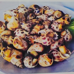 หอยหวานเผา