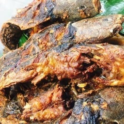 ปลาดุกทอดจิ้มแจ่ว