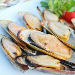 หอยแมลงภู่นิวซีแลนด์เผา