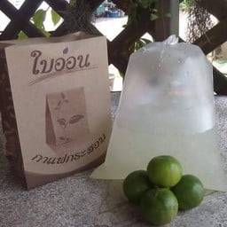 มะนาวโซดา