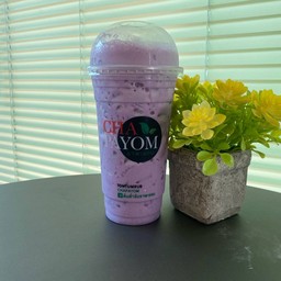 เผือกนมสด