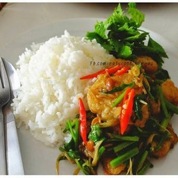 ปลาดุกผัดตั้งโอ๋ราดข้าว ไข่ดาว