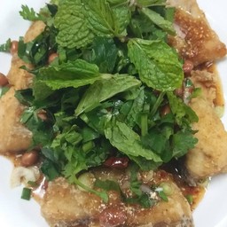 ปลาลุยสวน