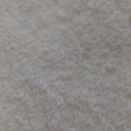 ข้าวเหนียว