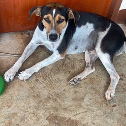 ให้ทิปน้องสวย