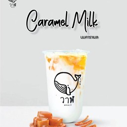 วาฬ ชานมไข่มุก สุกัญญาปาร์ค