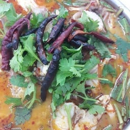 ต้มยำปลากระพงน้ำข้น(ทั้งตัว)