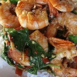 กระเพากุ้ง(ราดข้าว)