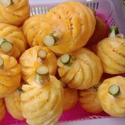 สัปปะรดภูแล