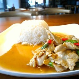 ไก่ผัดพริกขี้หนูสวนราดข้าว