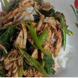 ผัดกระเพราไก่ต้ม