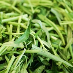 ผักบุ้ง