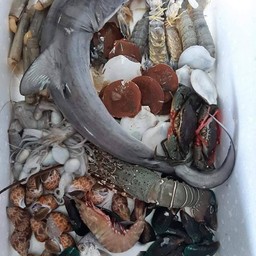 กล่องสุ่มบ้านปูไข่