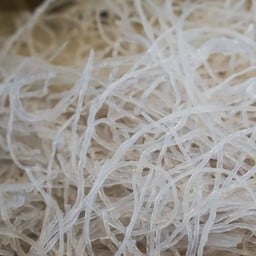 วุ้นเส้น