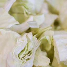 ผักกะหล่ำ