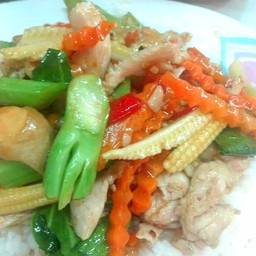ผัดผักไก่ราดข้าว