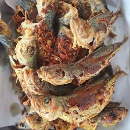 ร้านครัวครูศักดิ์ป่าหล่าย