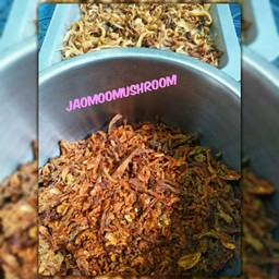 เจ้าหมูมัชรูม