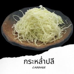 กระหลํ่าปลี Cabbage V7