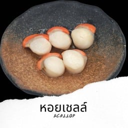 หอยเชลล์ Scallop 5ตัว Se8