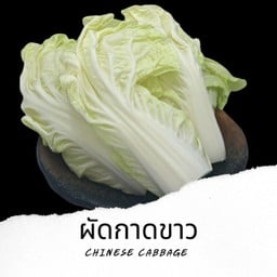 ผักกาดขาว Chinese Cabbage V10