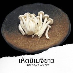 เห็ดชิเมจิขาว Shimeji White V4