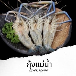 กุ้งแม่น้ำผ่ากลาง River Prawn 3ตัว Se6
