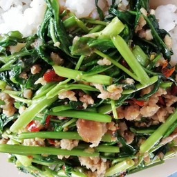 ผักผักบุ้ง