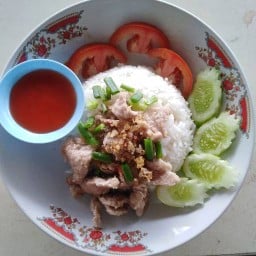 ผัดกระเพราบ้านป้ากุ้ง