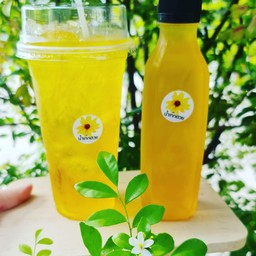 น้ำเก๊กฮวย  แบบขวด  350 cc