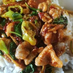 ผัดเผ็ด