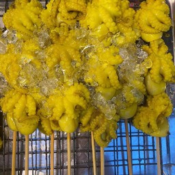 ปลาหมึกสายไซส์ใหญ่