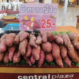 ยำแหนม ป้าแมว