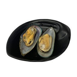 หอยแมลงภู่ นิวซีแลนด์