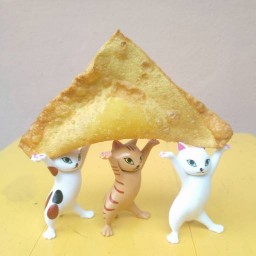 เกี๊ยวทอดไส้ชีสสส