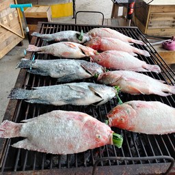ปลาของทางร้านไม่ผ่าท้อง แต่ทำความสะอาด ภายในท้องและเหงือกปลา ออกหมด ยัดใบเตย เวล