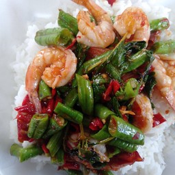 ข้าวราดกะเพรากุ้งถั่วฝักยาว